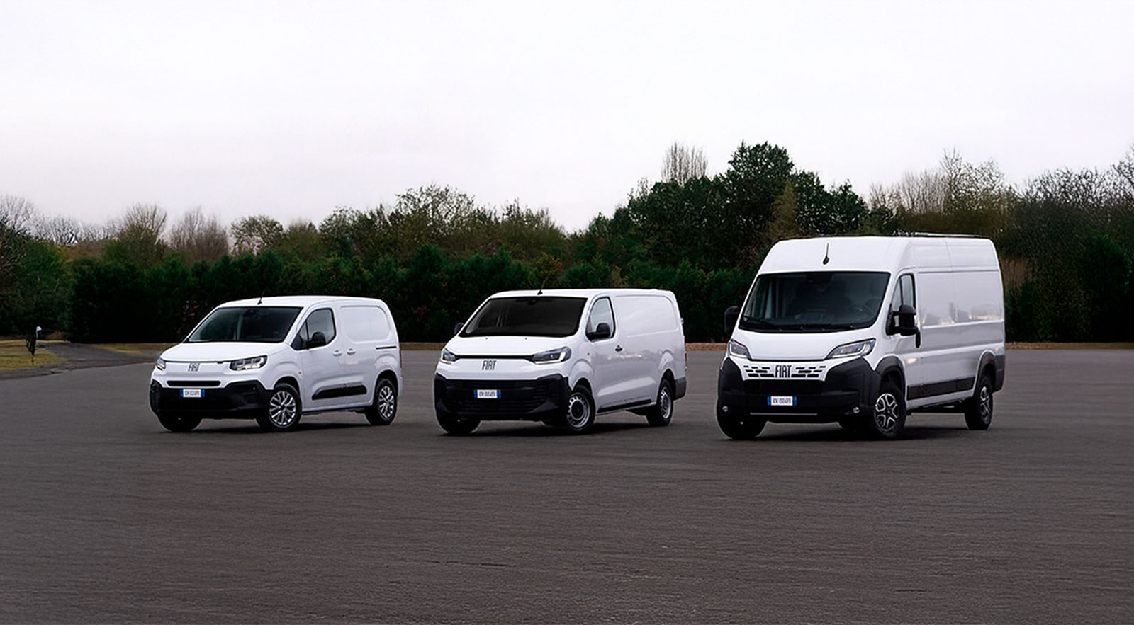 Fiat Professional 06